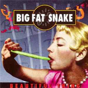 Big Fat Snake - Beautiful Thing flac
