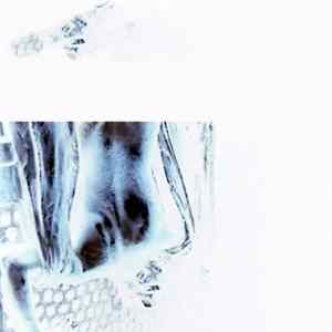 Effed / White Blackmail - Split flac