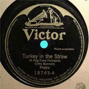 Pietro Deiro - Turkey In The Straw / Russian Rag flac