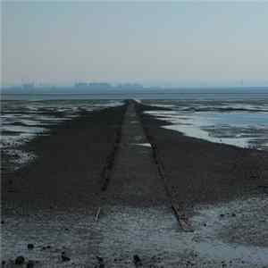 Fennesz - Saffron Revolution flac