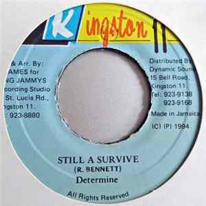 Determine - Still A Survive flac