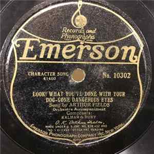Arthur Fields / Irving Kaufman - Look! What You've Done With Your Dog-Gone Dangerous Eyes / Broadway Rose flac
