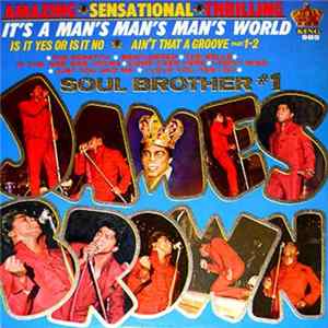James Brown - It's A Man's, Man's, Man's World: Soul Brother #1 flac