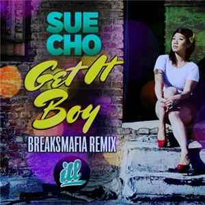 Sue Cho - Get It Boy (BreaksMafia Remix) flac