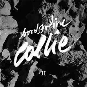 Borderline Collie - II flac