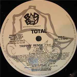 Total - Trippin' (Remix) / What About Us (Remix) flac