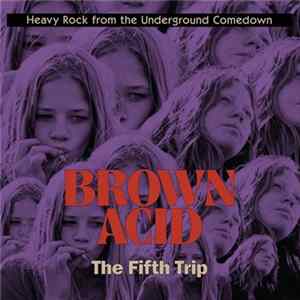 Various - Brown Acid: The Fifth Trip (Heavy Rock From The Underground Comedown) flac