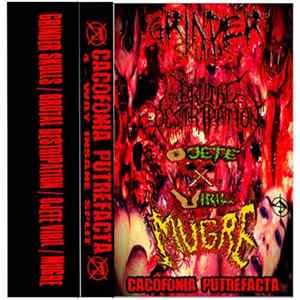 Grinder Skulls, Brutal Destripation, Ojete Viril, Mugre - Cacophonia Putrefacta 4 - Ways Insane Split flac