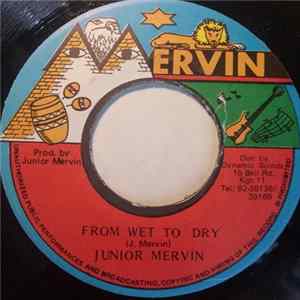 Junior Mervin - From Wet To Dry flac