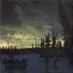 Woods Of Infinity / Joyless - Uppgivet Hjärta / Eidyllion flac
