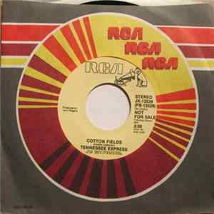 Tennessee Express - Cotton Fields flac