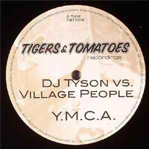 DJ Tyson vs. Village People - Y.M.C.A. flac