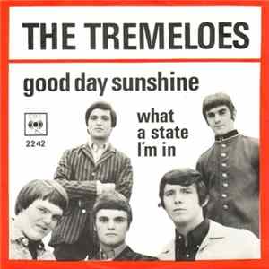 The Tremeloes - Good Day Sunshine/ What a State I'm In flac