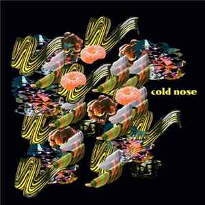 Dereck Higgins - Cold Nose flac