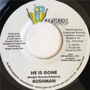 Bushman - He Is Gone flac