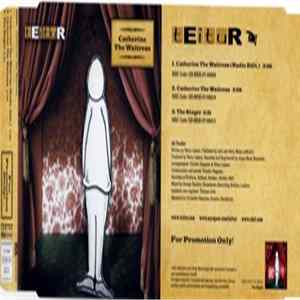 Teitur - Catherine The Waitress flac