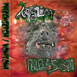 Phlegmsepsia / Vomitoma - Phlegmsepsia / Vomitoma flac