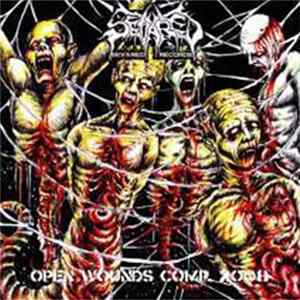 Various - Open Wounds Comp. 2008 flac