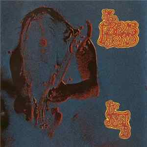 The Bevis Frond - It Just Is flac