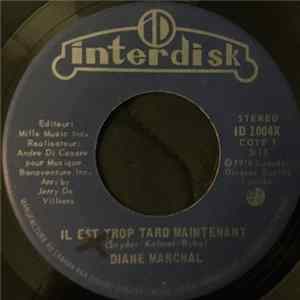 Diane Marchal - Il Est Trop Tard Maintenant flac