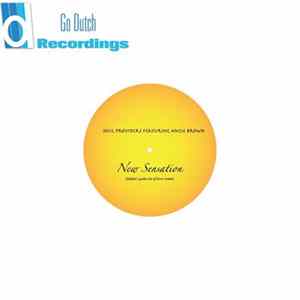 Soul Providers feat. Angie Brown - New Sensation flac