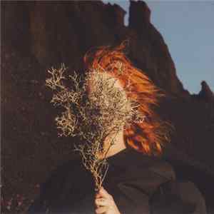 Goldfrapp - Silver Eye flac