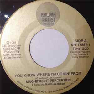 Magnificent Perception - You Know Where I'm Coming From flac