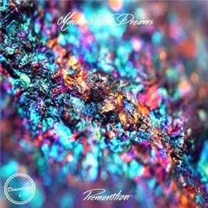 Machine For Dreams - Premonition flac