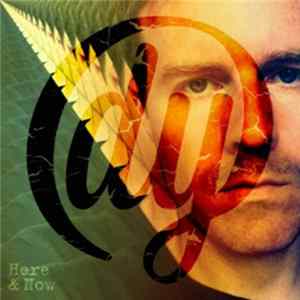 Double Yellow - Life In The Slow Lane flac