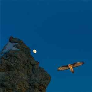 Hawkmoth - Godless Summit Audio Recording Part 1 flac