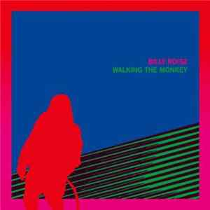 Billy Roisz - Walking The Monkey flac