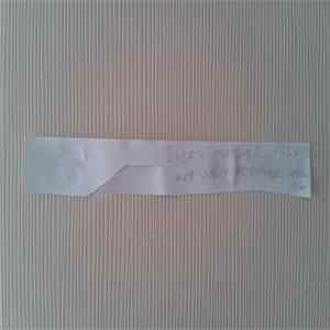 Surrogate Sigma - Every Man Is Only Man And As Follows: With Him flac