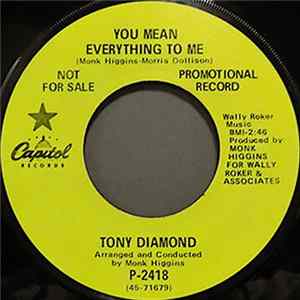 Tony Diamond - You Mean Everything to Me flac