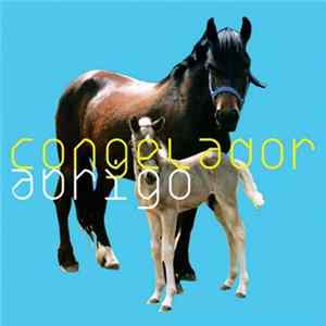 Congelador - Abrigo flac