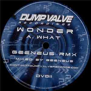 Wonder / Wizzbit - What / Jam Hot (Remixes) flac