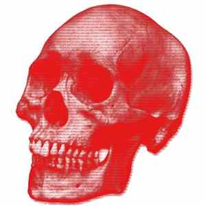 Automatic Grindcoke / Infinity Of 6 / Monological Terrorist / Wheathergirl64 - The Red Skull flac