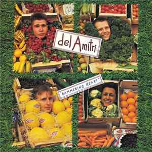 Del Amitri - Hammering Heart flac