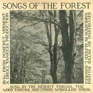 Peter Kilham Narration By Alfred L. Hawkes - Songs Of The Forest flac