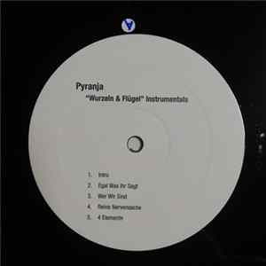Pyranja - Wurzeln & Flügel Instrumentals flac
