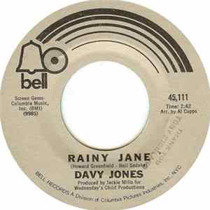 Davy Jones - Rainy Jane flac