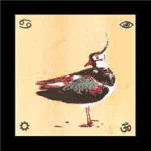 Lamp Of The Universe - Earth, Spirit, And Sky flac