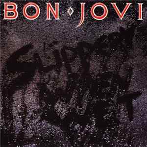 Bon Jovi - Slippery When Wet flac