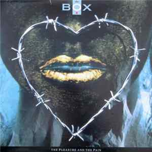 The Box - The Pleasure And The Pain flac