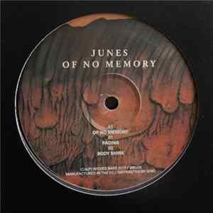 Junes - Of No Memory flac