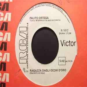Palito Ortega - Ragazza Dagli Occhi D'Oro / Un Ragazzo Come Me flac