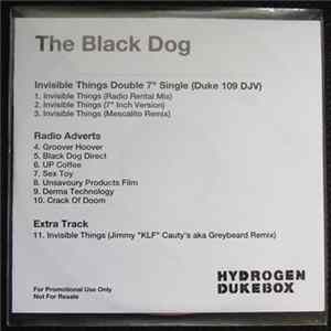 The Black Dog - Invisible Things flac