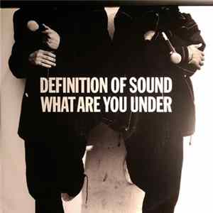 Definition Of Sound - What Are You Under flac