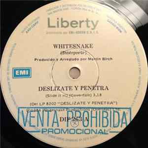 Whitesnake - Deslizate Y Penetra (Slide It In) flac