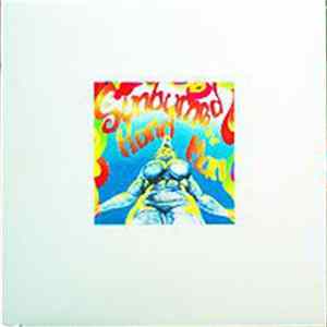 Sunburned Hand Of The Man - Jaybird flac