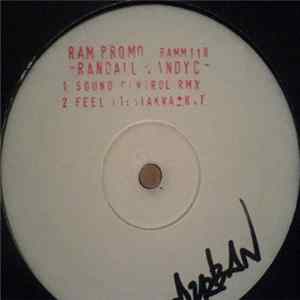 Randall & Andy C - Sound Control / Feel It (Rmxs) flac